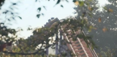 squid-game-3 s2e2 video card image